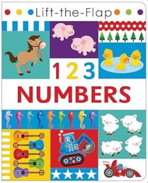 LIFT - FLAP 123 NUMBERS