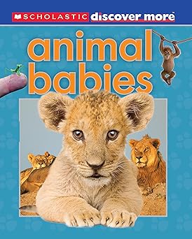 ANIMAL BABIES