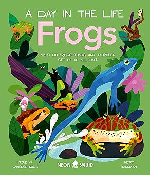 FROGS: A DAY IN THE LIFE