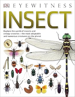 Insect