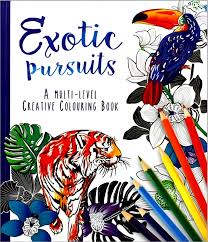 Multi-Level Exotic Pursuits