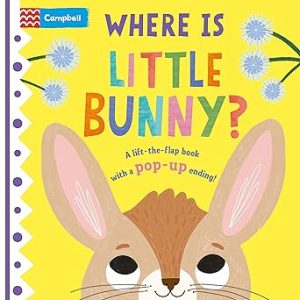 WHERE IS LITTLE BUNNY?