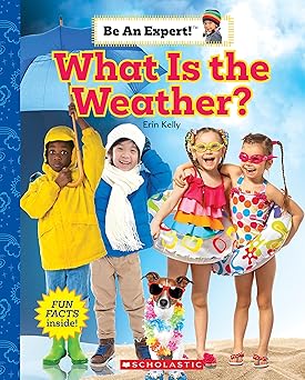 What Is the Weather?