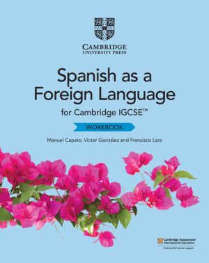 SPANISH AS A FOREIGN LANGUAGE WORKBOOK