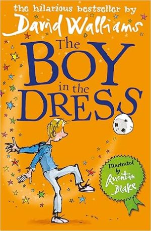 The Boy in A Dress