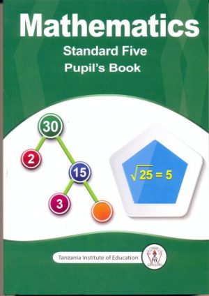 MATHEMATICS STANDARD FIVE (TIE)